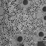 多孔質な竹炭の顕微鏡拡大写真