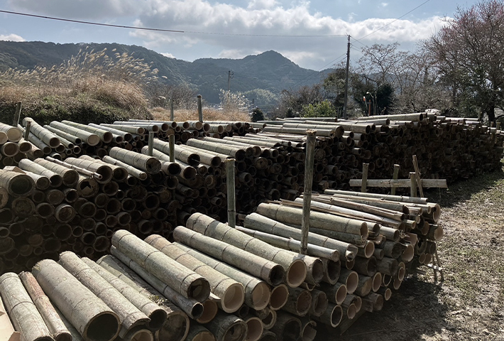 炭化に適切な含水量になるまで自然乾燥