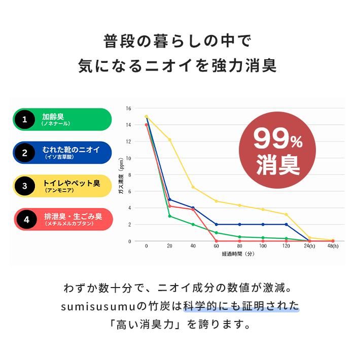 竹炭バッグ(大)_商品画像2