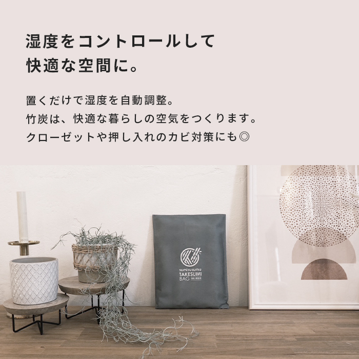 竹炭バッグ(大)_商品画像3