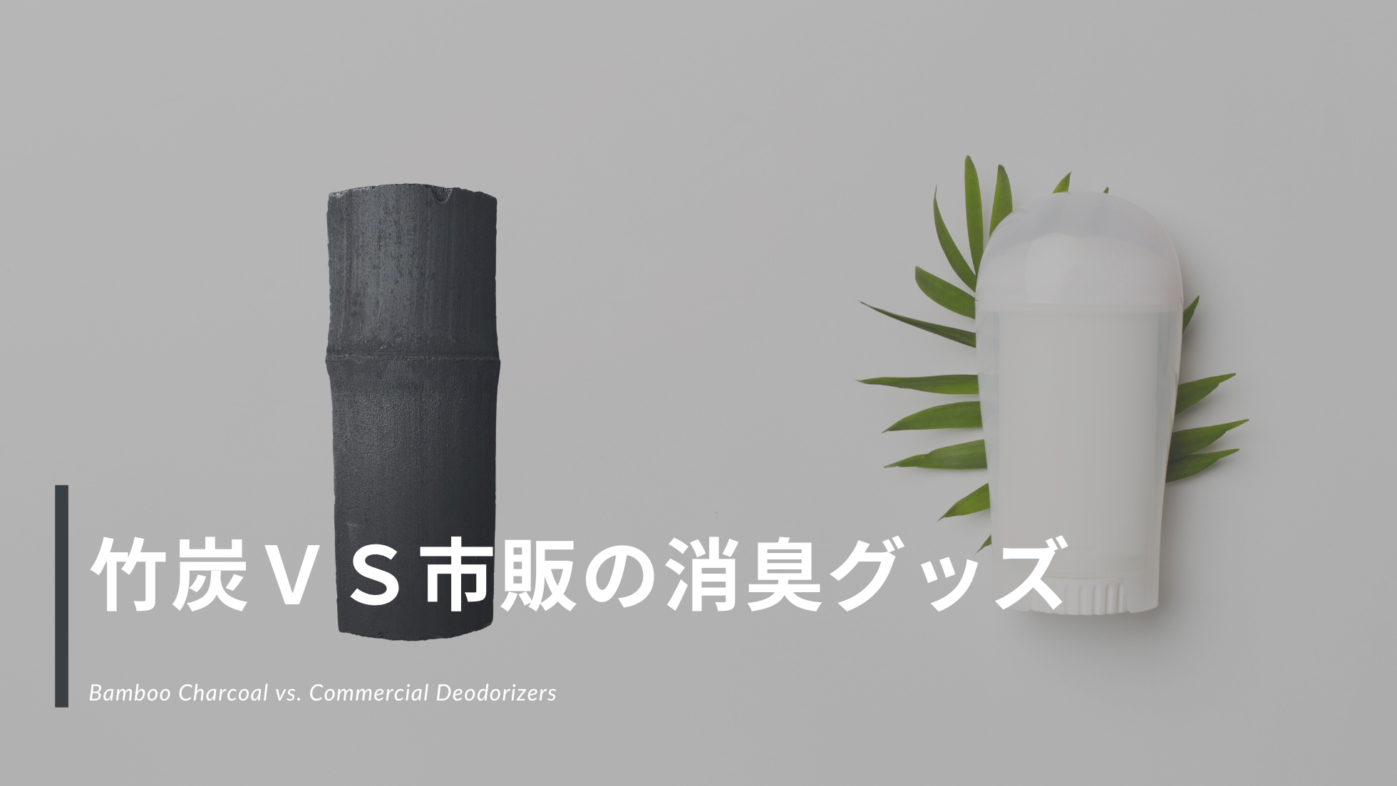 竹炭VS市販の消臭アイテム (1)